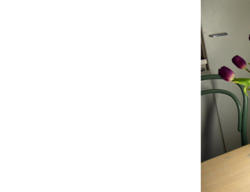 How to Manage the “Winter Blues” (aka Seasonal Affective Disorder)