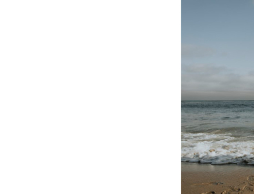 From partners to parents: Navigating relationships during transition